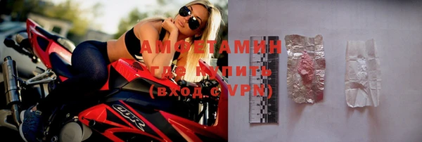 трава Абаза