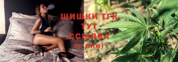 трава Абаза