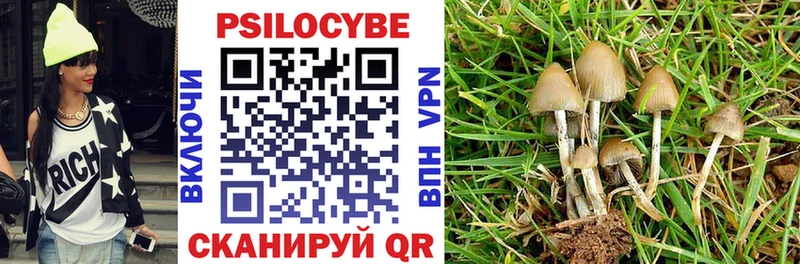Галлюциногенные грибы прущие грибы  Псков 